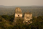 Miniatura para Bosques húmedos de Petén-Veracruz