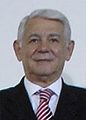 Teodor Meleșcanu Candidat independent