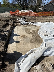 Le terme romane sul fiume Cosa e alcuni mosaici