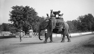 Indian natives riding elephants in Delhi, India