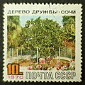 The Soviet Union 1970 CPA 3868 stamp (Friendship Tree, Sochi with label) cancelled large resolution.jpg