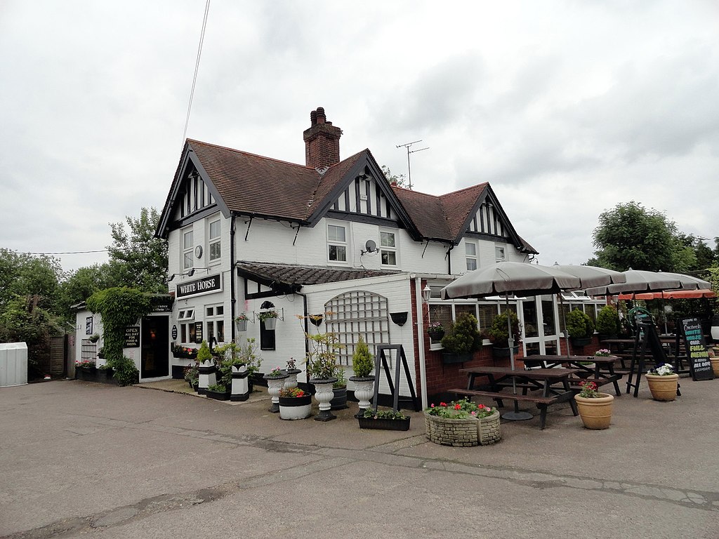 The White Horse Crostwick - geograph.org.uk - 3027892