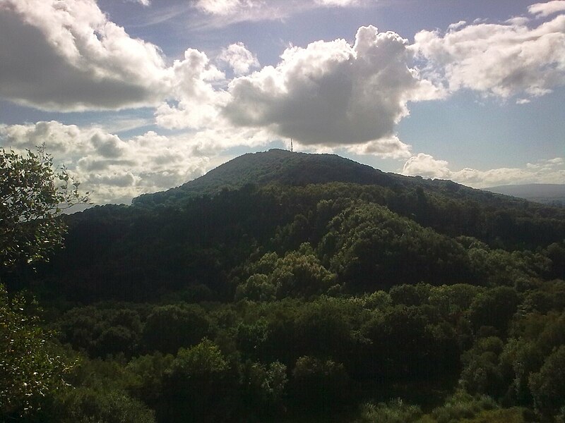 File:The Wrekin from the Ercall.jpg