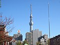 Sensoji; Tokyo Skytree from Asakusa