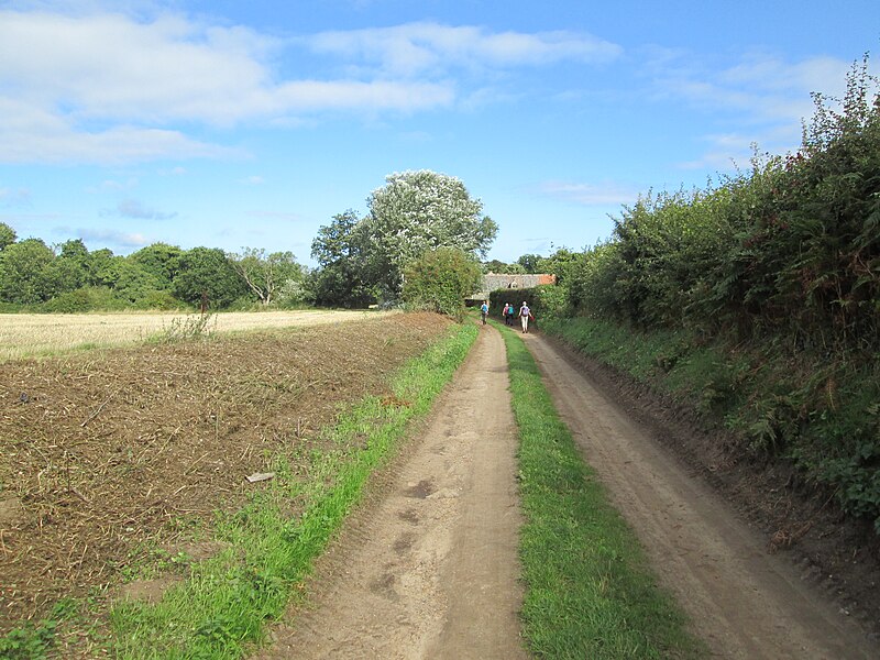 File:Track to A149 from Beacon Hill - geograph.org.uk - 5927716.jpg