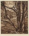 Tree Rhythm, etching, Lucioni, 1953, Dallas Museum of Art