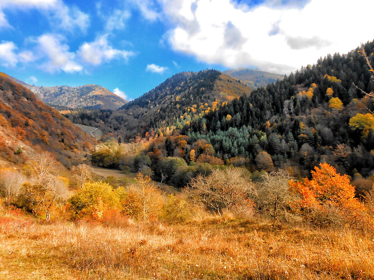 Осень в Боржоми