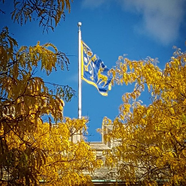 File:Trinity College Flag.jpg