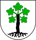 Wappen von Trun