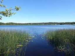 Tulebosjön från nordväst riktning sydöst den 11 augusti 2022