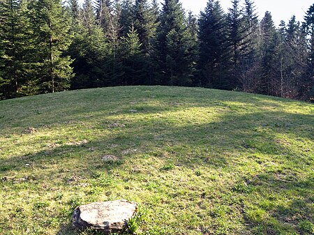 Tumulus d'Assens