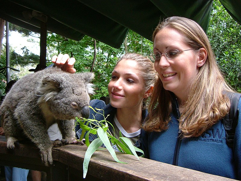 File:Two Girls and Koala.jpg