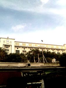 Université d'Alger.jpg