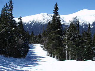 Wildcat Mountain Ski Area