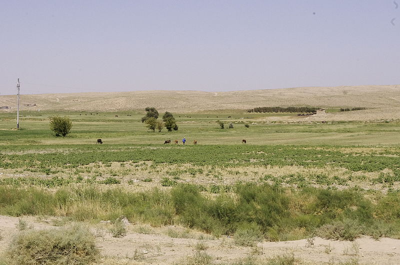 File:Uzbekistan landscape IGP2570.jpg