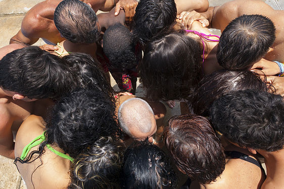 Several Heads, several types of Hairs for Photo Challenge.