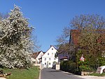Viehhofen (Velden)