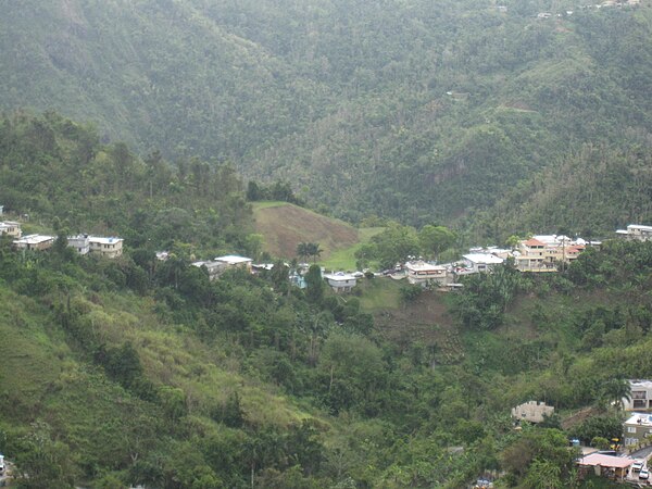 View of Orocovis from lookout in Orocovis