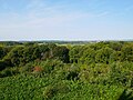 View from inside the Keston Windmill in Keston. [411]