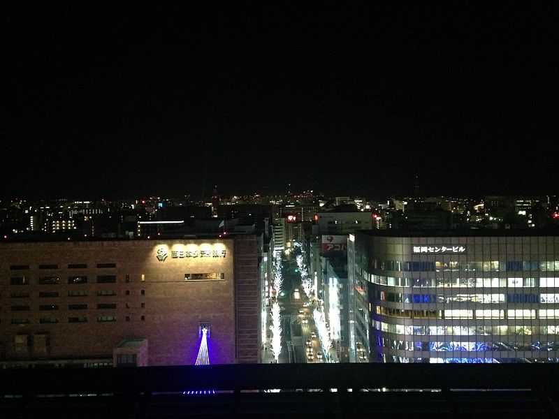 File:View from the top of Hakata Station Building at night (West).JPG