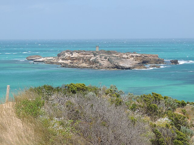 View of Penguin Island from Cape Martin, South Australia