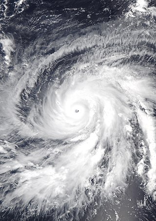 <span class="mw-page-title-main">Hurricane Walaka</span> Category 5 Pacific hurricane in 2018