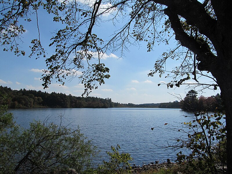 File:Wampatuck Pond, Hanson MA.jpg