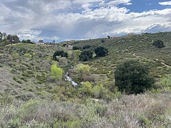 Warm Springs Creek from Warm Springs Park and Preserve 2.jpg