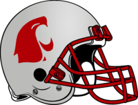 Washington State Football Helmet 1966-1967.png