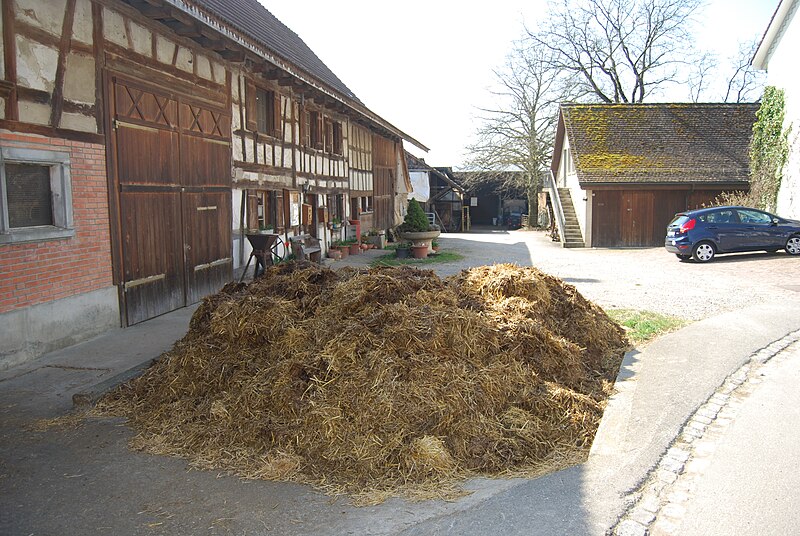 File:Wasterkingen manurejo antau kamparana domo en la vilaghocentro 103.JPG