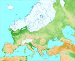 Neanderthaler: Ontdekkingsgeschiedenis, Ontstaan, Lichaamsbouw