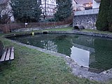 Der Weiher mit überdachter Quelle im Hintergrund und Abfluss im Vordergrund