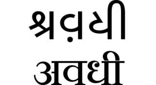 <span class="mw-page-title-main">Awadhi language</span> Indo-Aryan language spoken in Northern India