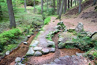 Das Wasser des Goldbrunnens (rechts im Bild) fließt in den Breitenbach (links im Bild)