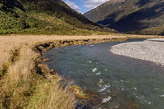 <span class="mw-page-title-main">Young River (New Zealand)</span> River in Otago, New Zealand