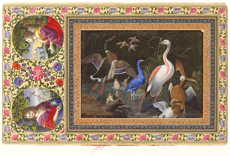 File:"Aquatic Birds at a Pool", Folio from the Davis Album MET DT4887.jpg