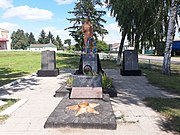 Братська могила радянських воїнів та пам'ятник воїнам-односельчанам с. Макарівка (загальний вигляд).jpg