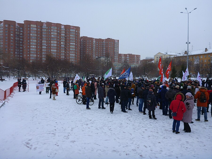 Вид митинга с возвышения