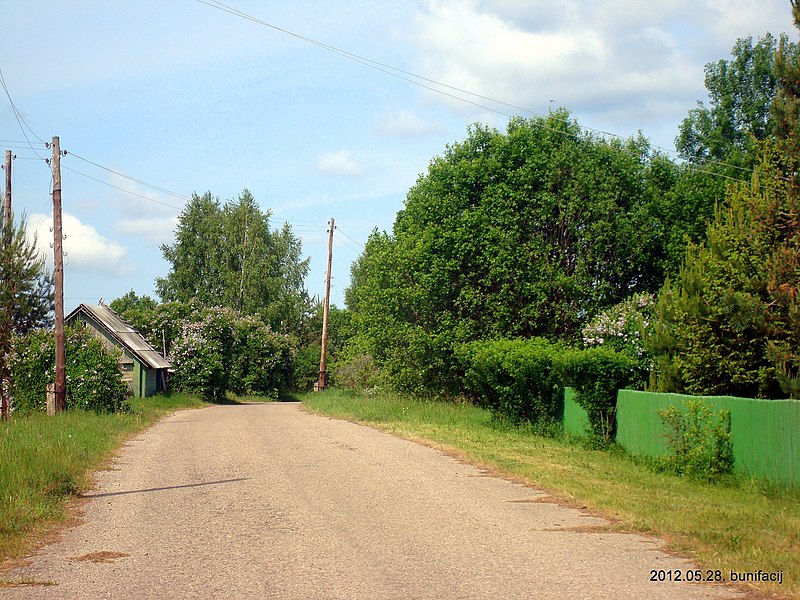 File:Дорога через деревню - panoramio (2).jpg