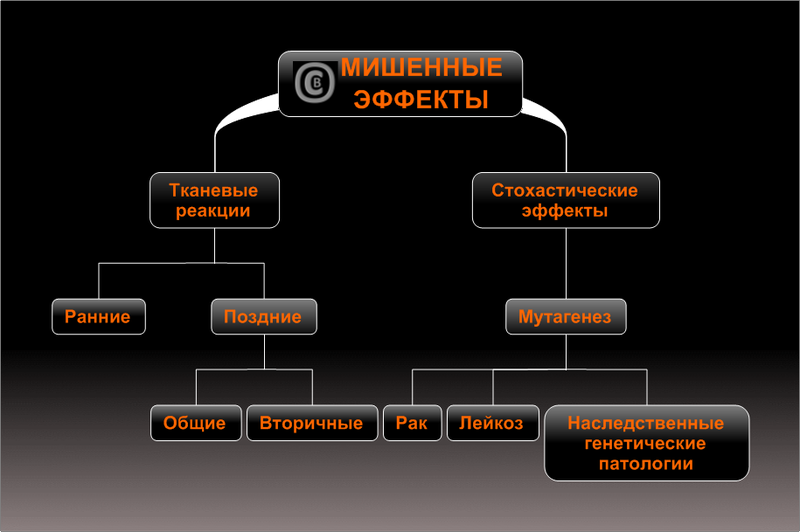 Курсовая работа по теме Генетические последствия влияния радиации на человека