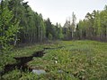 Миниатюра для Файл:Петровка (приток Люлеха).jpg