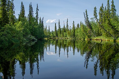 Озеро нота. Река Нотта. Река Нота Мурманская область. Гирвас (приток Ноты). Нота (река).