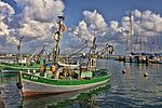 Thumbnail for Fishing industry in Israel