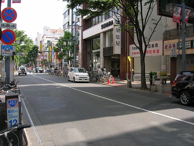 File:国道463号（さいたま市浦和区）.jpg