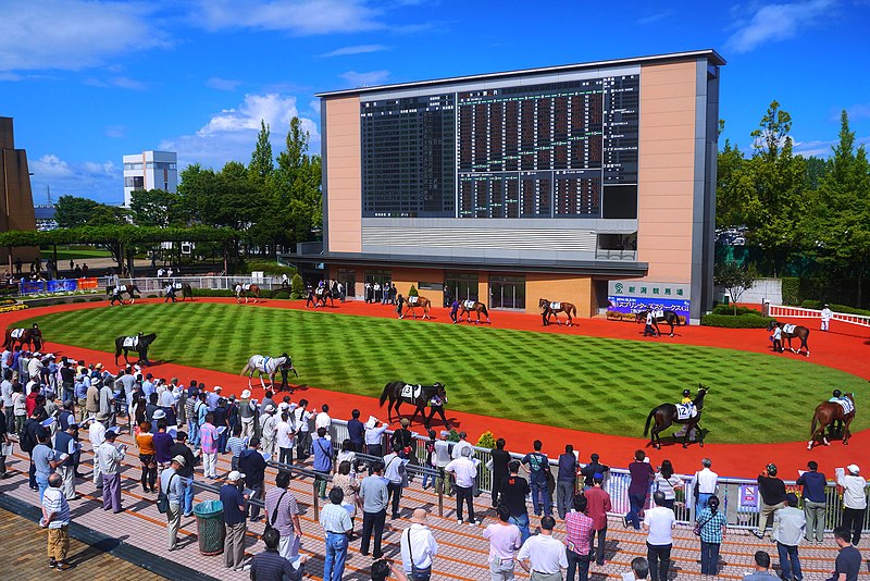 File:新潟競馬場パドック.jpg