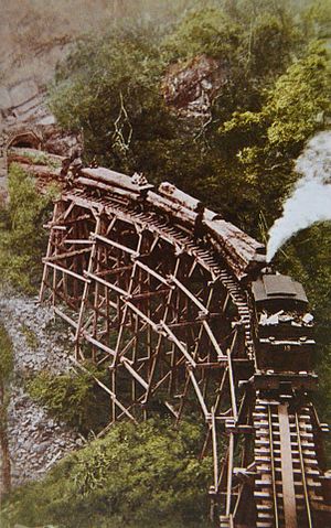阿里山林業鐵路: 簡介, 歷史, 路線概述