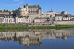 Miniatura per Castell d'Amboise