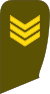 07-Lithuania Army-SSG.svg
