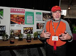 Dennis Westler, show chairman and 'Orchid Doctor', discusses the Japanese style orchids.