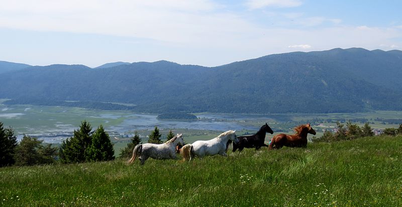 File:2015-5-Slivnica&Cerkniško jezero (9).JPG